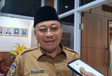 RTRW Belum Rampung, Pengembangan Kawasan Industri Pulau Baai Masih Tertahan