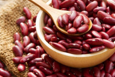 Kaya Protein dan Serat, Cek Manfaat Kacang Merah bagi Kesehatan di Sini