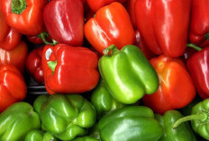 Ini Efek Samping Paprika untuk Kesehatan, Perlu Konsumsi Secukupnya