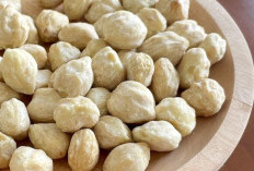 Bukan Hanya untuk Bumbu Masakan, Ini 7 Manfaat Kemiri bagi Kesehatan Tubuh