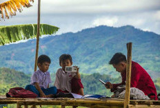 Ketika Sinyal Menentukan Nasib: Kesenjangan Digital di Indonesia