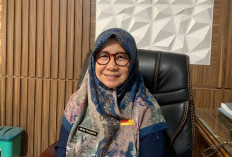 Target PBB Kota Bengkulu 2026 Naik Jadi Rp32 Miliar, Bapenda Siapkan Strategi Jemput Bola