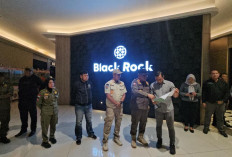 Sidak Black Rock Bengkulu, Satpol PP Periksa Izin Penjualan Miras Usai Insiden Pengeroyokan