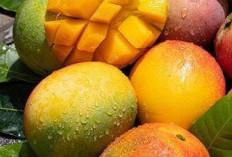 Manis dan Kaya Vitamin, 7 Manfaat Mangga untuk Kesehatan Tubuh yang Perlu Diketahui 