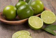 Ampuh Atasi Flu hingga Turunkan Demam, Ini Cara Olah Jeruk Nipis Jadi Obat Tradisional 