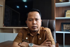 Kepatuhan Rendah, Pemutihan Pajak di Bengkulu Baru Dimanfaatkan 43 Ribu Kendaraan