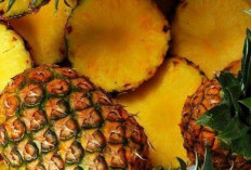 Perlu Tahu! Efek Samping Konsumsi Nanas bagi Kesehatan, Bisa Sebabkan Iritasi Mulut