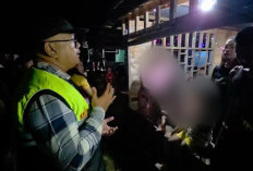 Razia Warung Remang di Kampung Melayu, Kasatpol PP Bengkulu Temukan Dugaan Pungli Oknum Anggota