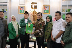 April Yones Resmi Pimpin PPP Bengkulu, Mardiono Beri Mandat Khusus: Rangkul DPC dan Dekati Rakyat