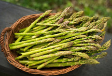 Ini 7 Efek Samping Konsumsi Asparagus Secara Berlebihan, Salah Satunya Bikin Alergi 