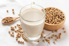Konsumsi Susu Kedelai dengan Rutin Baik untuk Jaga Kesehatan Tubuh, Cek Manfaatnya!