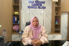 Lebih Murah dari Harga Pasar, Dinas Perikanan Bengkulu Selatan Buka Pusat Jajanan Serba Ikan Sebulan Sekali