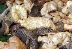 Bisa Picu Nyeri Sendi, Makanan yang Perlu Dihindari Penderita Asam Urat