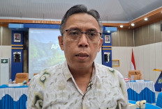 Transaksi Koperasi Merah Putih Bengkulu Capai Rp306 Juta, Penjualan Pupuk Dominasi Penerimaan