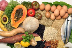 Dijamin Anti Gagal! Berikut Rekomendasi Makanan Sehat untuk Pelancar Diet