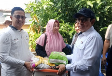 Pasca Kebakaran di Nusa Indah, Pemkot Bengkulu Salurkan Bantuan kepada Korban