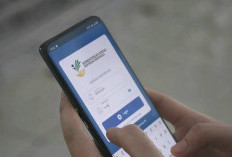 Kabarnya Bansos PKH dan BPNT Tahap 3 2026 Cair, Cek Nama Penerima Online, Mudah Lewat HP