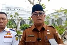 Siasati Aturan Belanja Pegawai 30 Persen, Pemkot Bengkulu Harapkan Dukungan Pusat untuk Gaji PPPK