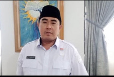 Pelaku Penebangan Pohon Pantai Panjang Mangkir, Pemkot Bengkulu Layangkan Panggilan Kedua