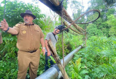 Luruskan Video Viral di Batu Ampar, Bupati Rifai: Itu Lintasan Pipa PDAM, Bukan Jembatan