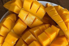 Kaya Vitamin dan Serat, Cek 7 Manfaat Buah Mangga untuk Kesehatan Ibu Hamil