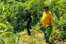 Penyidikan Korupsi SHM Ilegal, Tim Ahli dan Kejari Turun ke Kawasan HPT Bukit Rabang