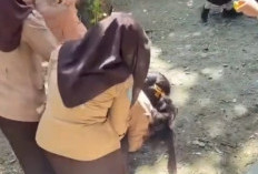 Miris! Siswi 15 Tahun di Kota Bengkulu Diduga Dianiaya Kakak Kelas, Korban Alami Trauma Berat
