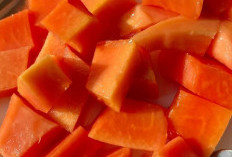Kaya Vitamin dan Serat, Ini 7 Manfaat Buah Pepaya bagi Kesehatan Ibu Hamil