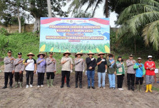 Dukung Swasembada Pangan Nasional, Polresta Bengkulu Targetkan Tanam Jagung di Lahan 25 Hektare