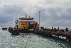 Dari Ladang ke Laut: Ketika Nilai Hilang dalam Rantai Distribusi