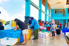 Cuaca Ekstrem Kurangi Hasil Tangkapan, Harga Ikan di TPI Pasar Bawah Bengkulu Selatan Naik