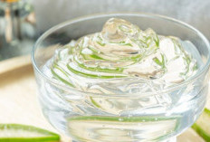 Cek Lidah Buaya untuk Kesehatan! Ini Manfaatnya, Bisa Mempercepat Penyembuhan Luka