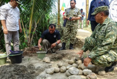 Wujud Sinergi TNI-Pemkab, Wabup Seluma dan Dandim 0425 Resmikan Groundbreaking Jembatan Perintis Garuda