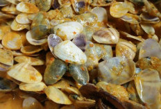 Dari Laut ke Meja Makan, Gulai Remis Jadi Andalan Kuliner Warga Pesisir Seluma