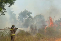 125 Hektare Lahan Terbakar di Bengkulu, Kaur Jadi Wilayah Terdampak Paling Parah