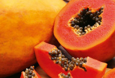 Ini 7 Efek Samping Buah Pepaya bagi Kesehatan, Hati-hati Konsumsi Berlebihan