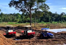 Ditarget Selesai Bulan Ini, Irigasi Rp2,5 Miliar di Rejang Lebong Siap Aliri 572 Hektare Sawah