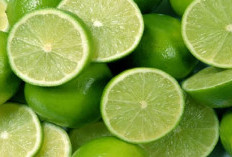 Jangan Konsumsi Berlebihan, Ini Sederet Efek Samping Jeruk Nipis Bagi Kesehatan Anda!