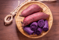 Tingkatkan Nafsu Makan dengan Konsumsi Ubi Ungu, Cek Manfaat Lainnya Disini!
