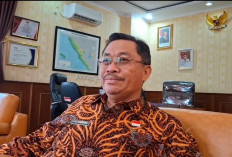 Surat Edaran Gubernur Keluar, PKS Bengkulu Terancam Dicabut Izin Jika Beli TBS di Bawah Ketetapan