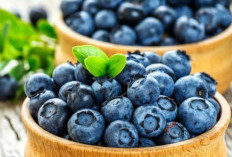 Baik untuk Jantung, Ini Manfaat Buah Blueberry bagi Kesehatan, Kamu Perlu Tahu