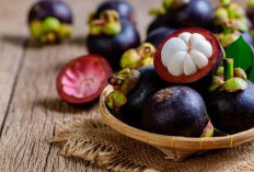 Sangat Disarankan! Berikut Manfaat Buah Manggis Bagi Kesehatan Ibu Hamil 