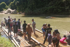 Ikan Larangan Taba Lubuk Puding Ramai Dikunjungi Saat Lebaran, Jadi Wisata Alam Paling Favorit