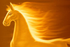 Energi Panas Tahun Kuda Api 2026: Shio Paling Diuntungkan dan Harus Lebih Waspada