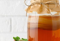 Perlu Tahu, 7 Manfaat Teh Kombucha bagi Kesehatan, Minuman Fermentasi yang Kaya Senyawa Bioaktif