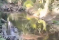 2 Perusahaan di Seluma Diduga Cemari Sungai Air Pring, DLH Diminta Jangan Bungkam