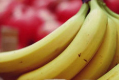 Kaya Nutrisi, Ini Fakta Menarik tentang Buah Pisang, Kamu Perlu Tahu