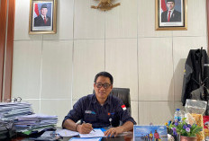 Distribusi Bantuan Pangan Hampir Rampung, Bulog Bengkulu Kejar 100 Persen di Akhir Tahun