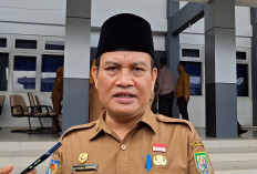 Mulai 2027 Guru Honorer Dilarang Mengajar di Sekolah Negeri, Pemprov Bengkulu Tunggu Juknis Pusat
