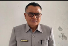 Kuota Pupuk Subsidi Seluma Bertambah 800 Ton, Khusus untuk Jenis NPK